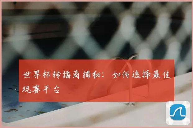 世界杯转播商揭秘：如何选择最佳观赛平台